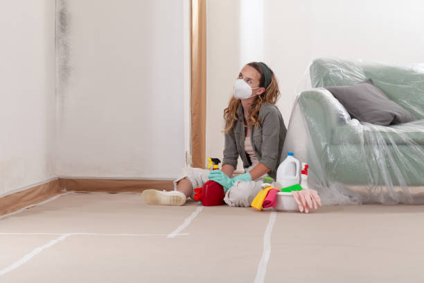 Reliable Mold Remediation contractor in Greenbrier, TN by WQB Mold Removal